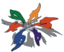 Favicon of http://www.dreamteam.co.in/