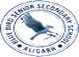 Blue Bird Sr.Sec. School